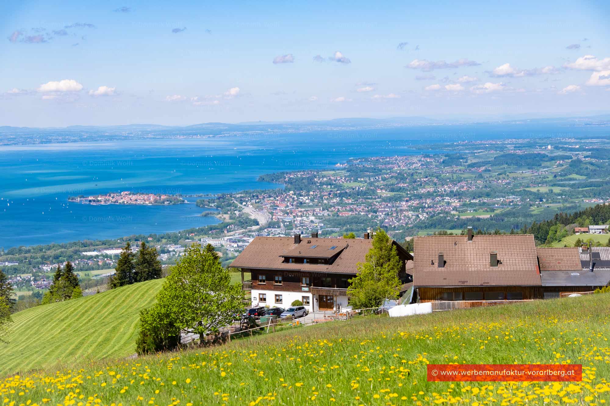 Bild + Foto - Frühling auf dem Fesslerhof