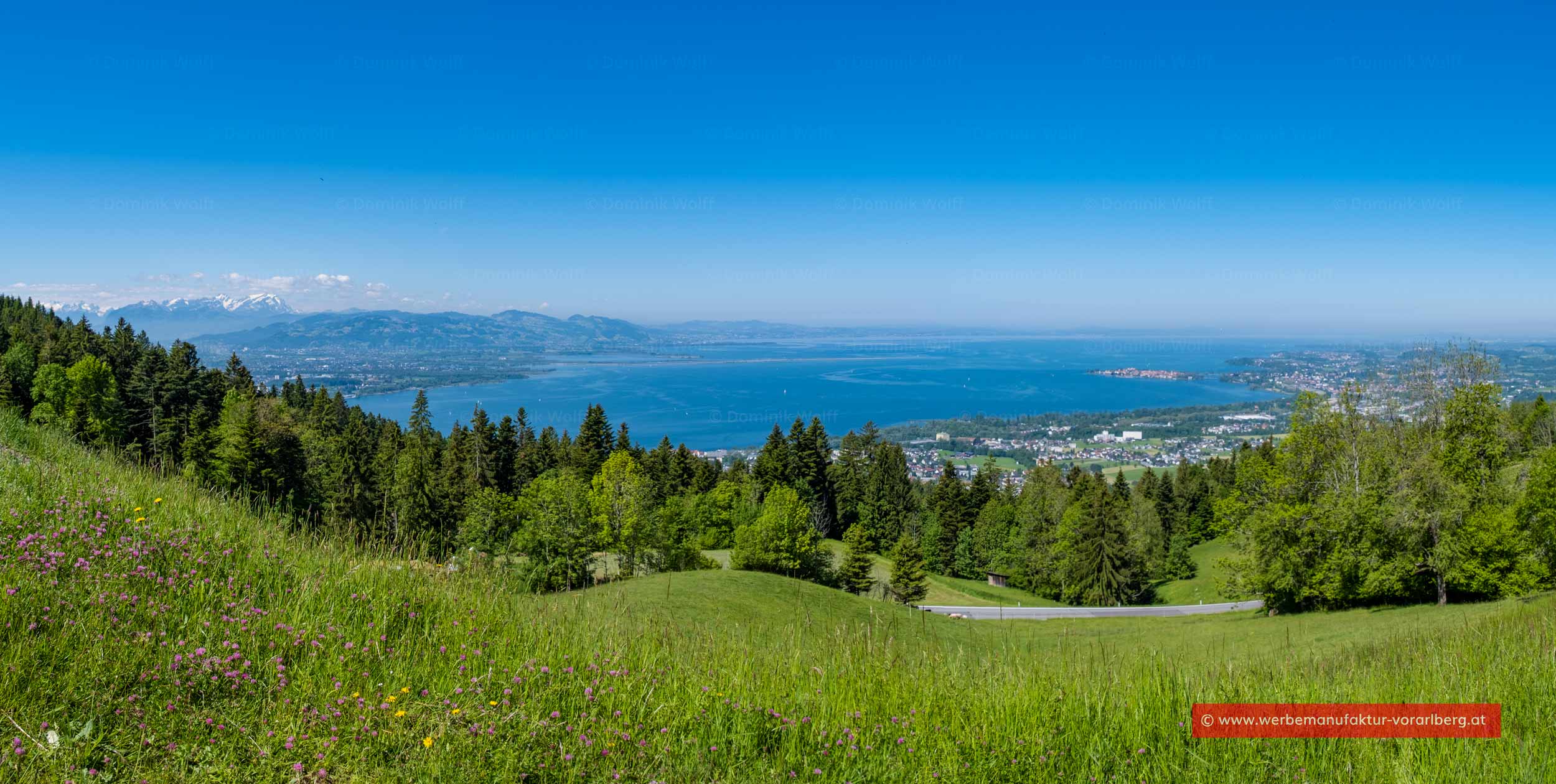 Bild + Foto - Bodensee-Panorama von Eichenberg / Vorarlberg