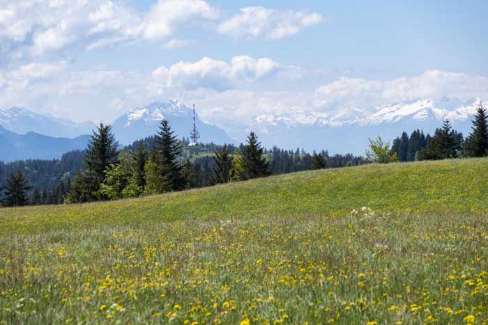 Blick auf den Pfänder