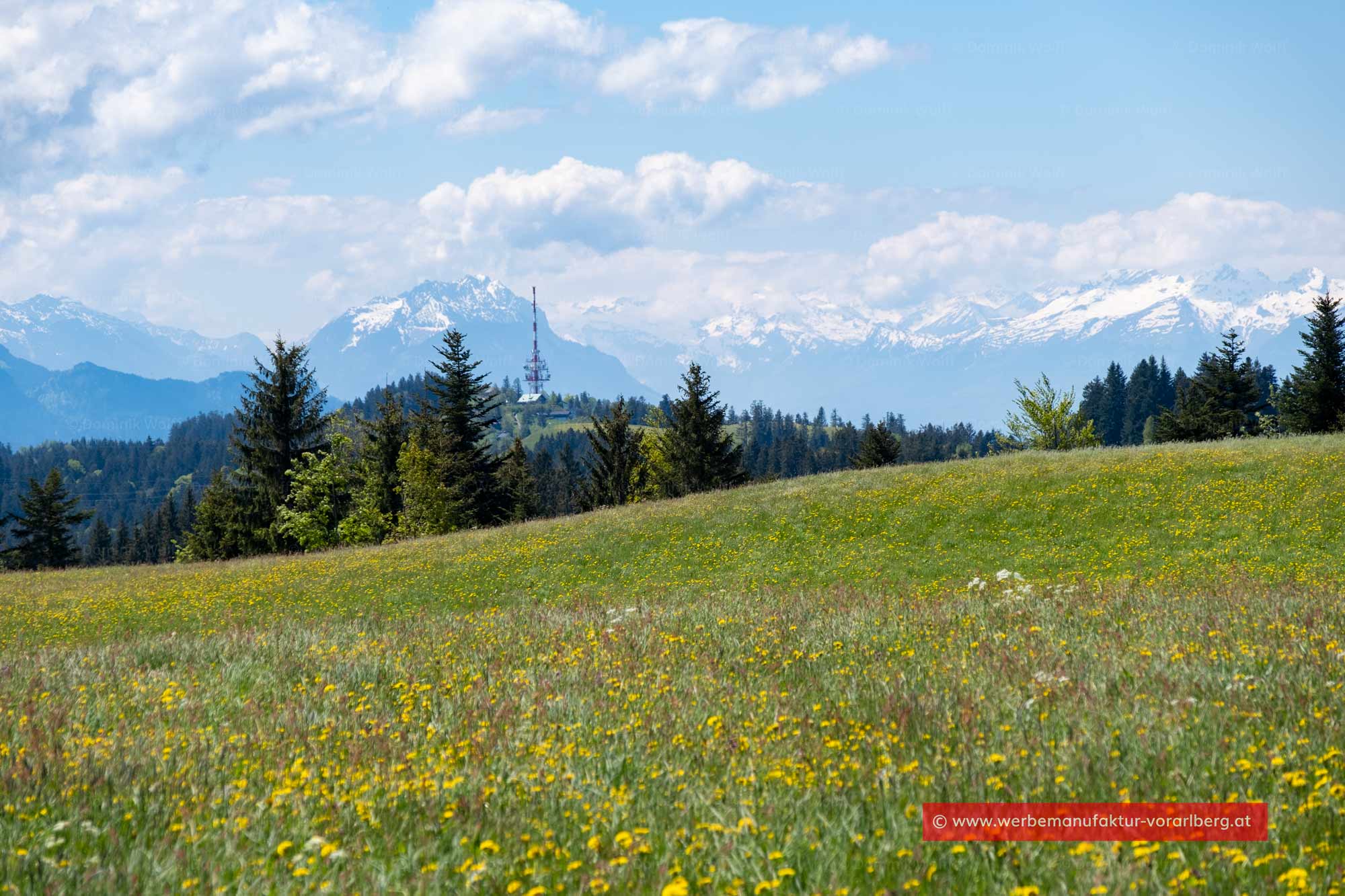 Blick auf den Pfänder