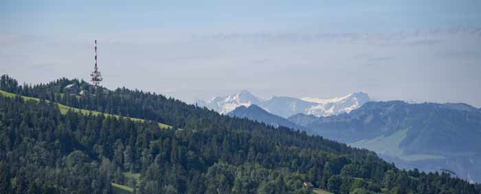 Blick zum Pfändergipfel