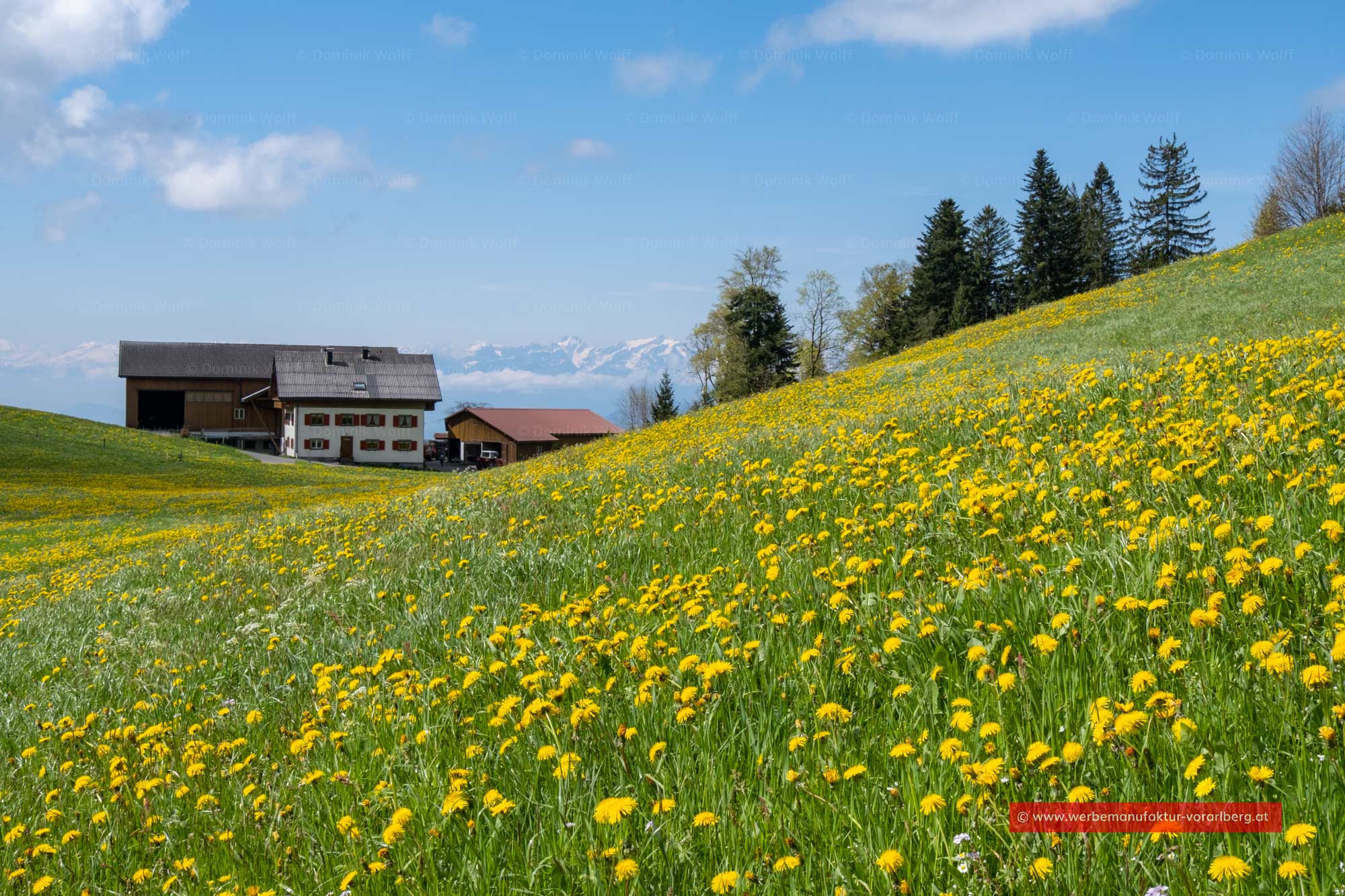 Bild + Foto - Schneebedeckte Appenzeller Alpen