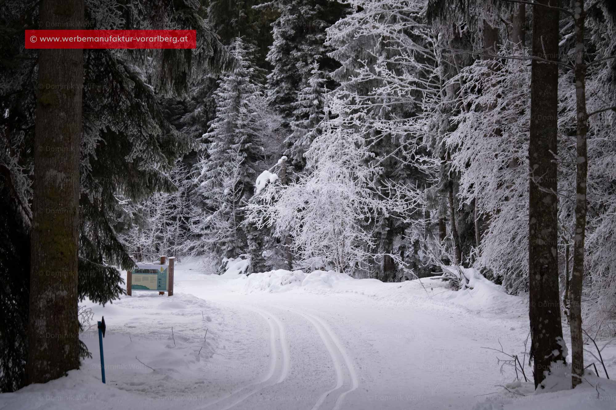 Bild + Foto - Scheidegg auf dem Pfändermassiv