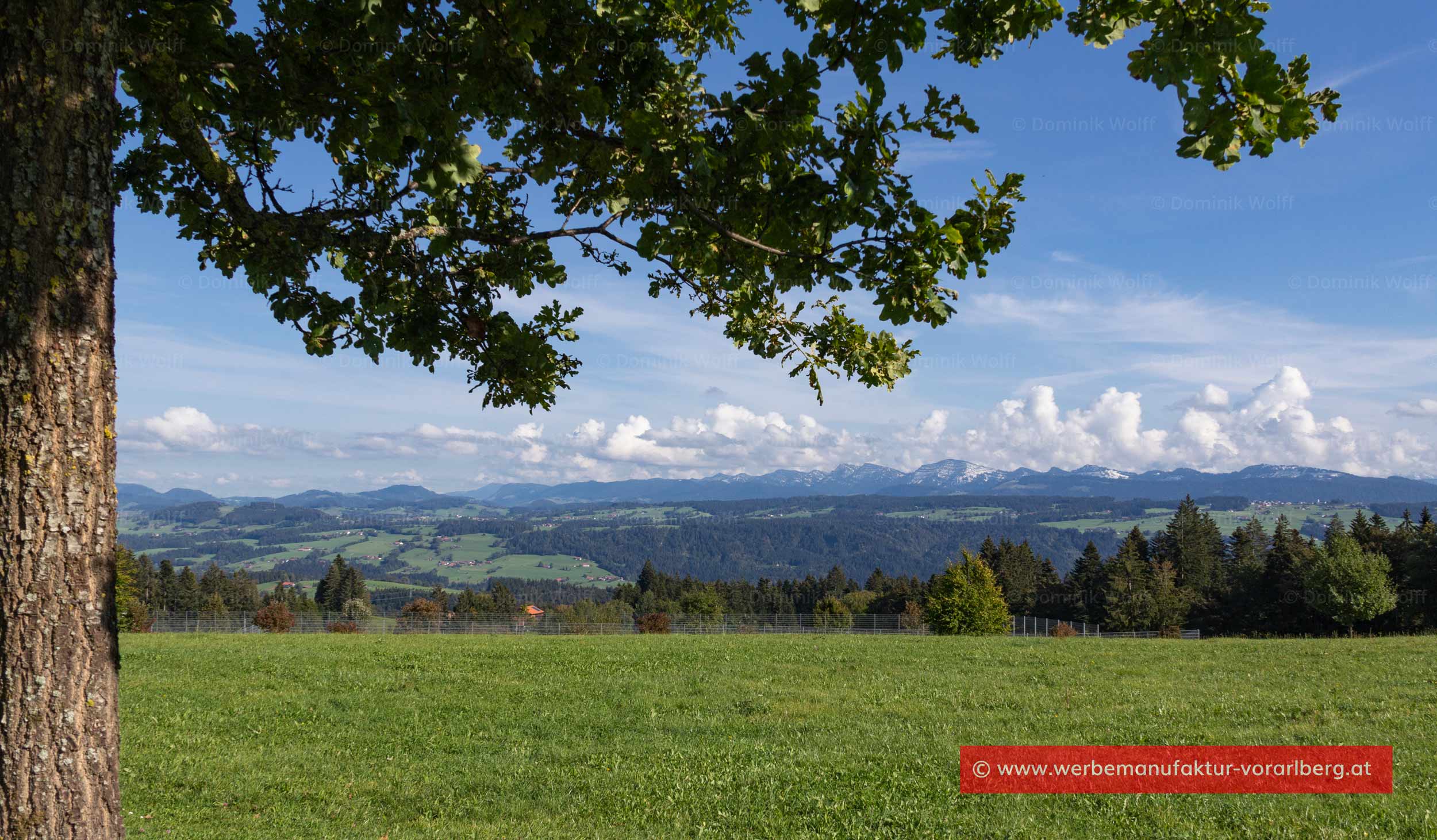 Bild + Foto - Scheidegg mit Nagelfluhkette