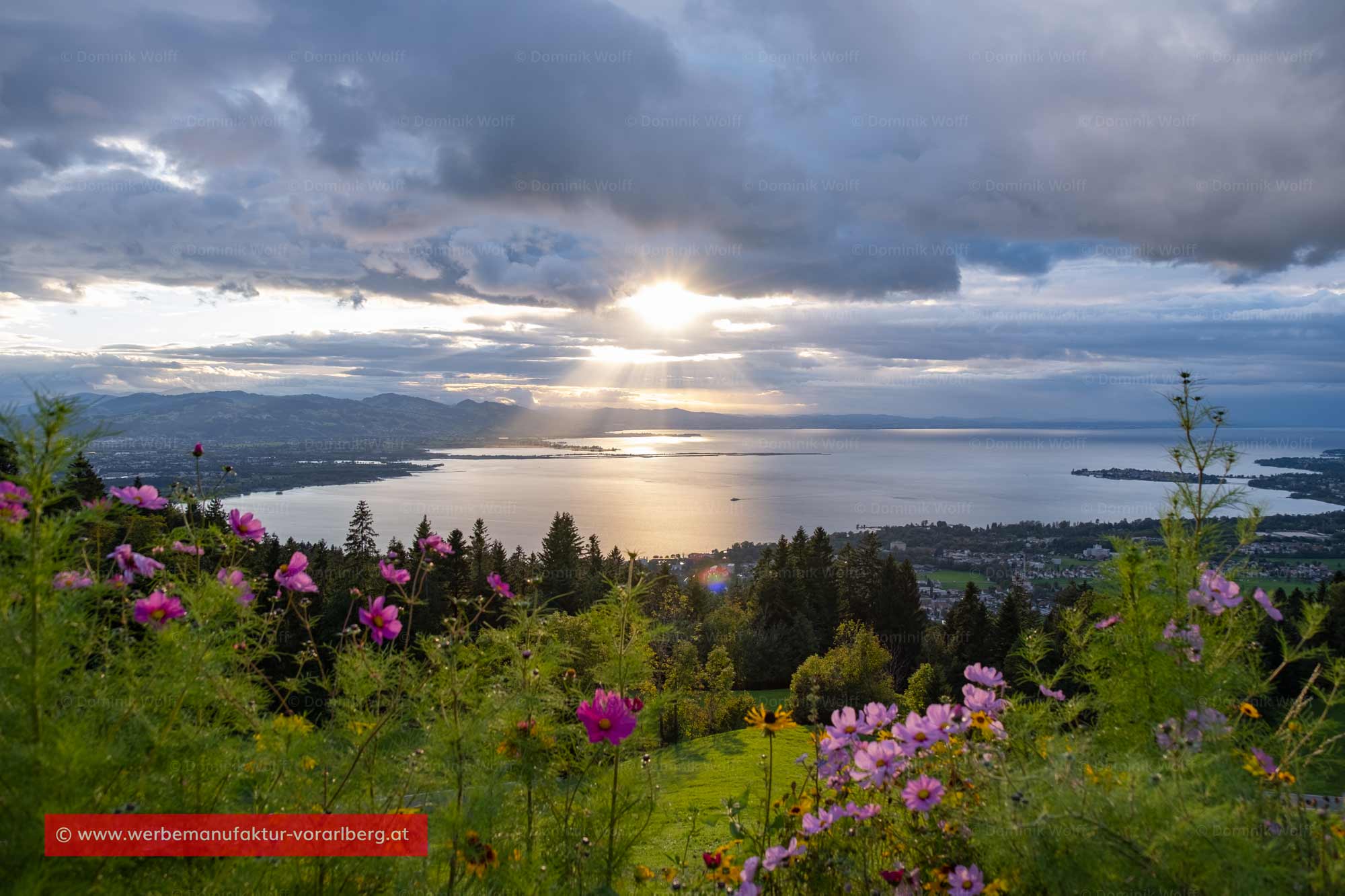 Bild + Foto - Die Sonne geht am Pfänder unter