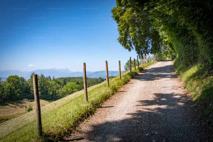 Wanderweg Fluh - Pfänder