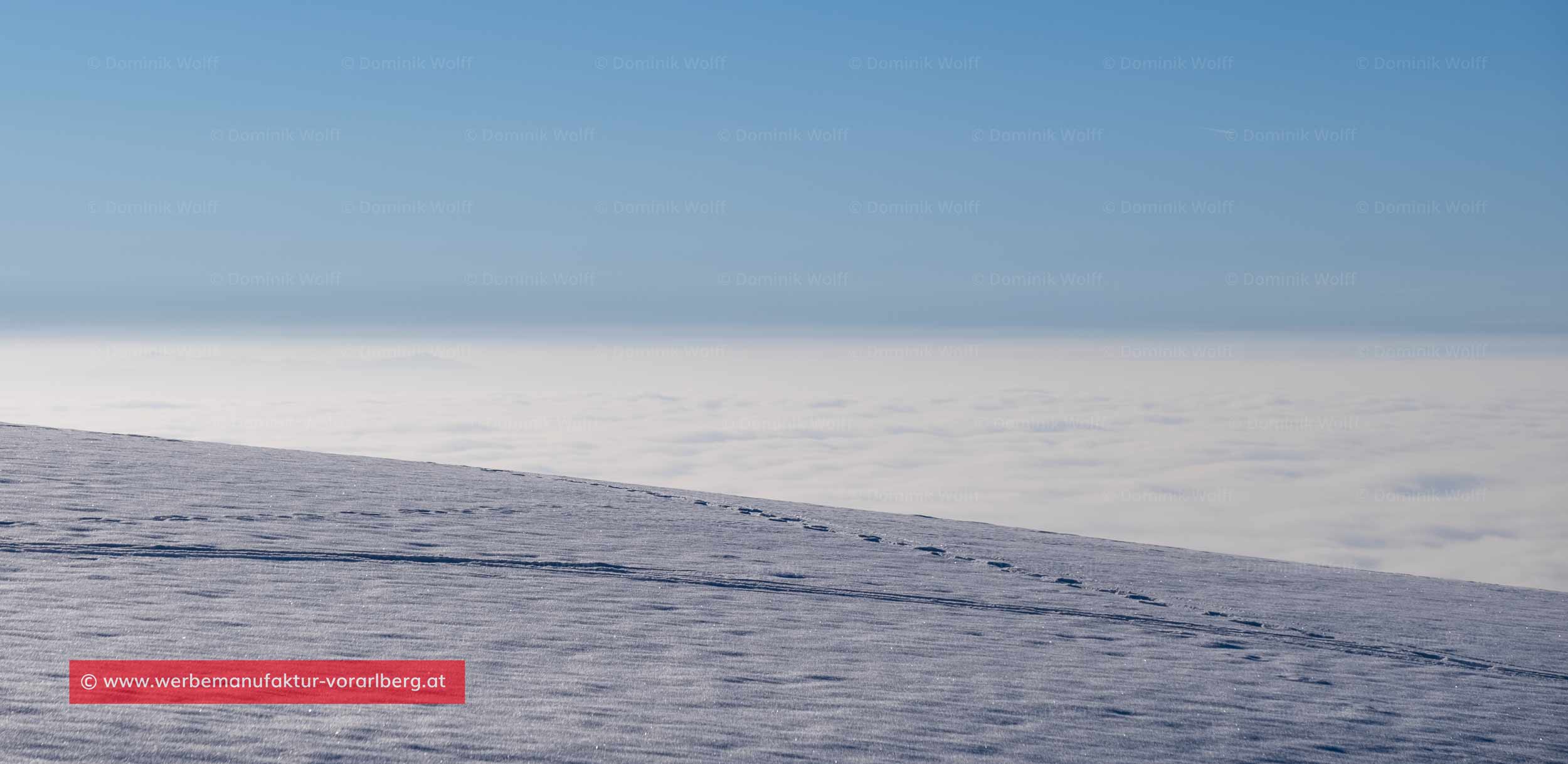 Bild + Foto - Winter auf dem Pfänderstock