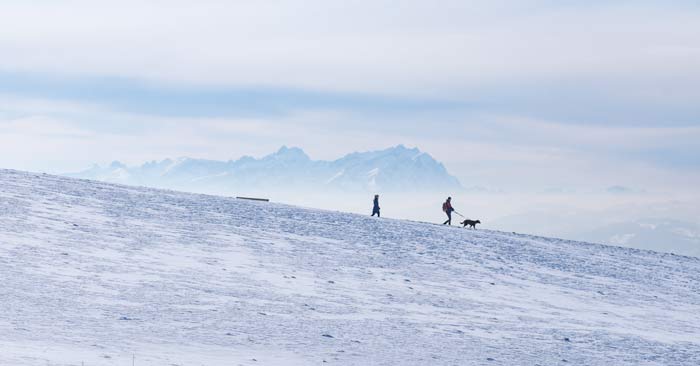 Winterwanderung auf dem Pfänder