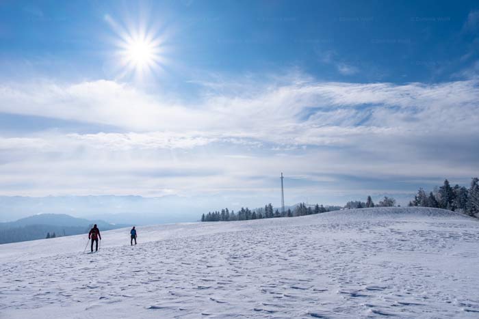 Ski-Langlauf auf dem Pfänder