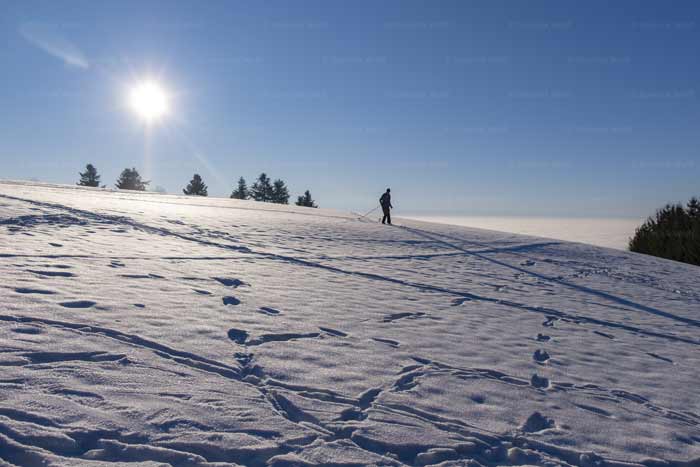 Skilanglauf am Pfänder